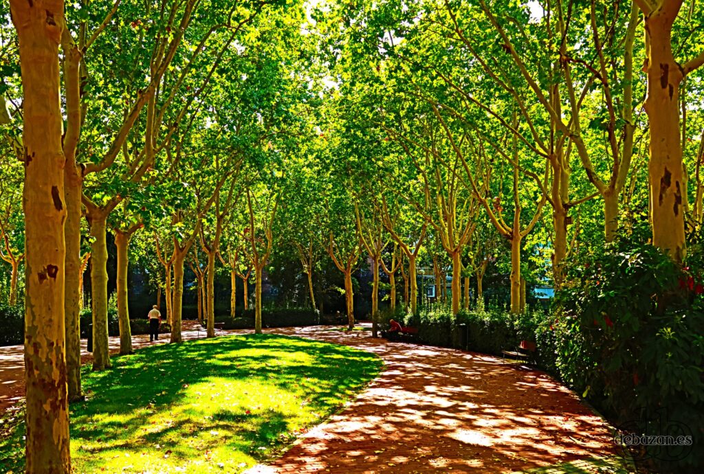 Madrid_turismo