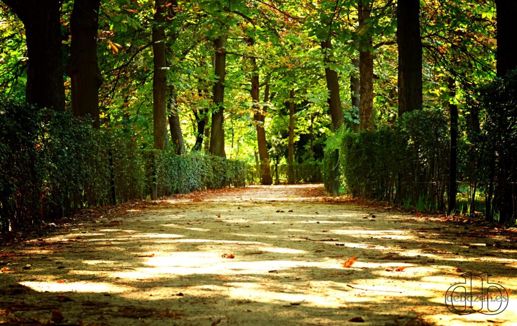 Madrid_turismo